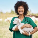 Soins des animaux au naturel – Découverte