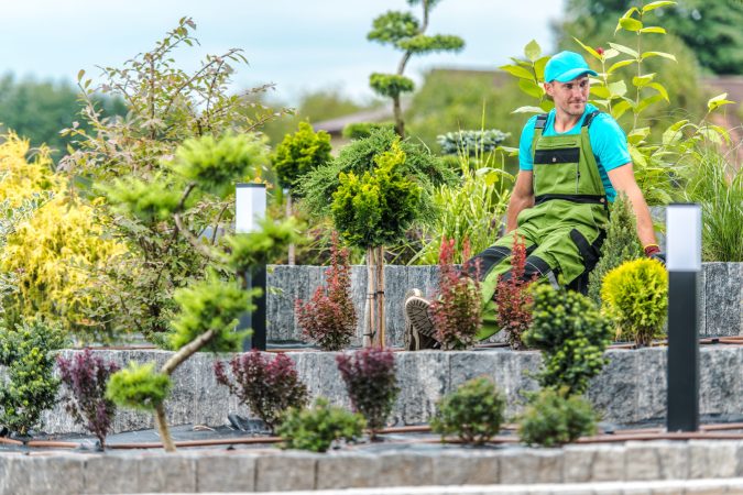 gardener-proud-of-his-work-2025-03-15-22-02-00-utc