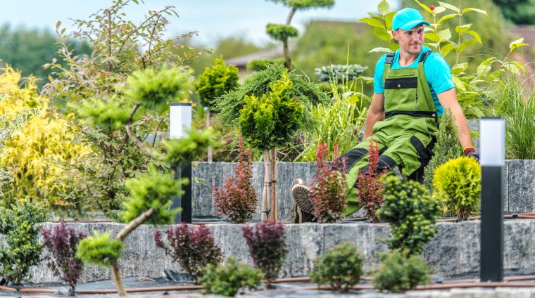 gardener-proud-of-his-work-2025-03-15-22-02-00-utc gardener-proud-of-his-work-2025-03-15-22-02-00-utc