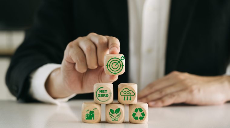green-economy-and-sustainable-environment-for-the-2024-12-05-19-00-31-utc