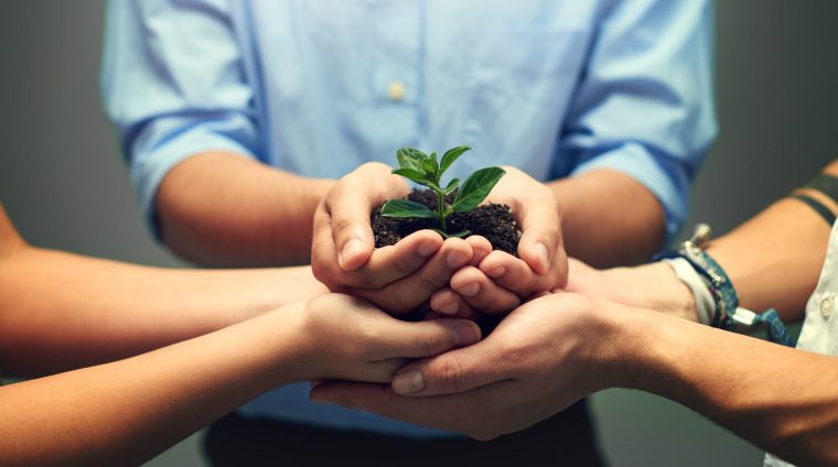 growth-is-nurtured-slowly-2024-04-24-17-47-13-utc