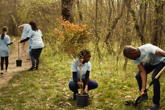 team-of-activists-planting-trees-to-conserve-natur-2025-02-20-07-01-08-utc