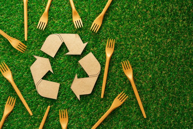 zero-waste-disposable-tableware-forks-on-green-bac-2025-02-24-18-02-08-utc